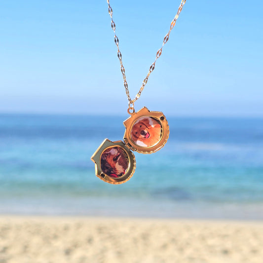gold shell waterproof open locket