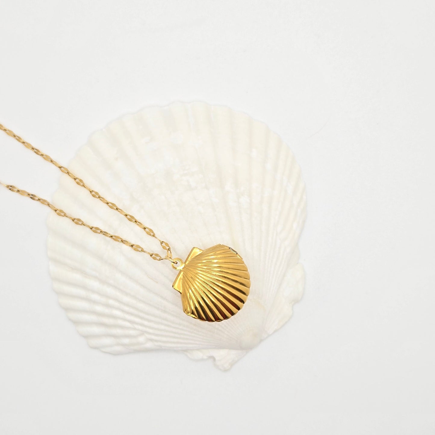 Shell Life Locket Necklace