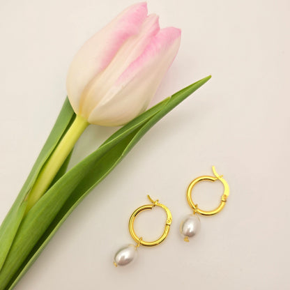 gold light weight pearl earrings